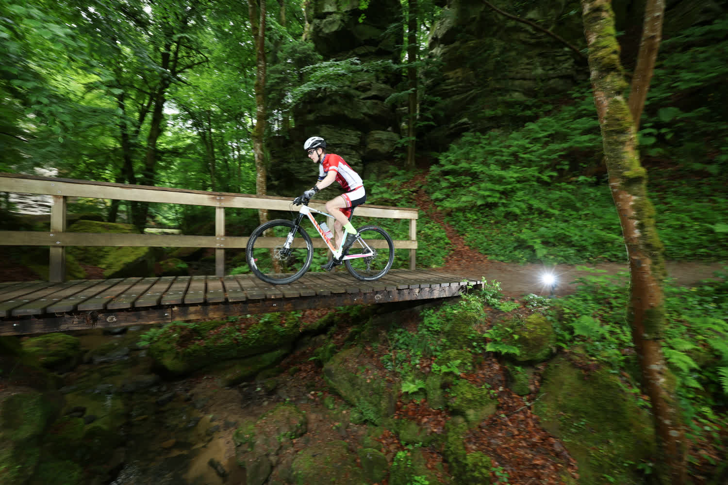 250525_Aronia_teamshooting_LUX_0114_print (1)