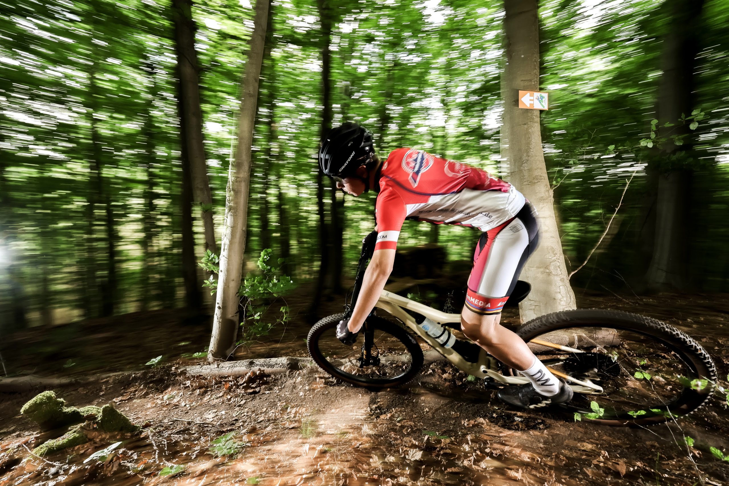 260531_Aronia_outdoor_Pur_0050_print (2)