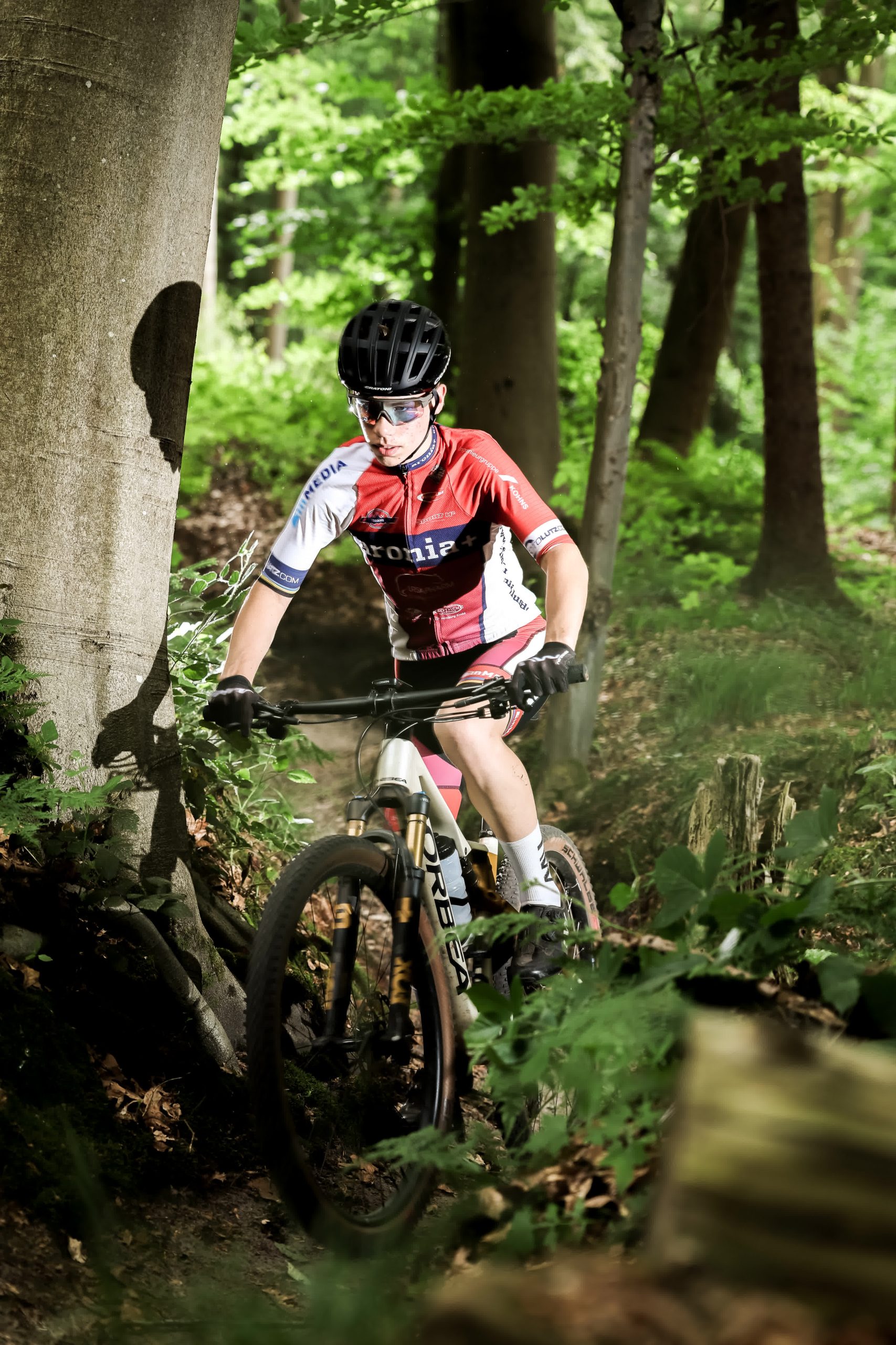 260531_Aronia_outdoor_Pur_0133_print (2)