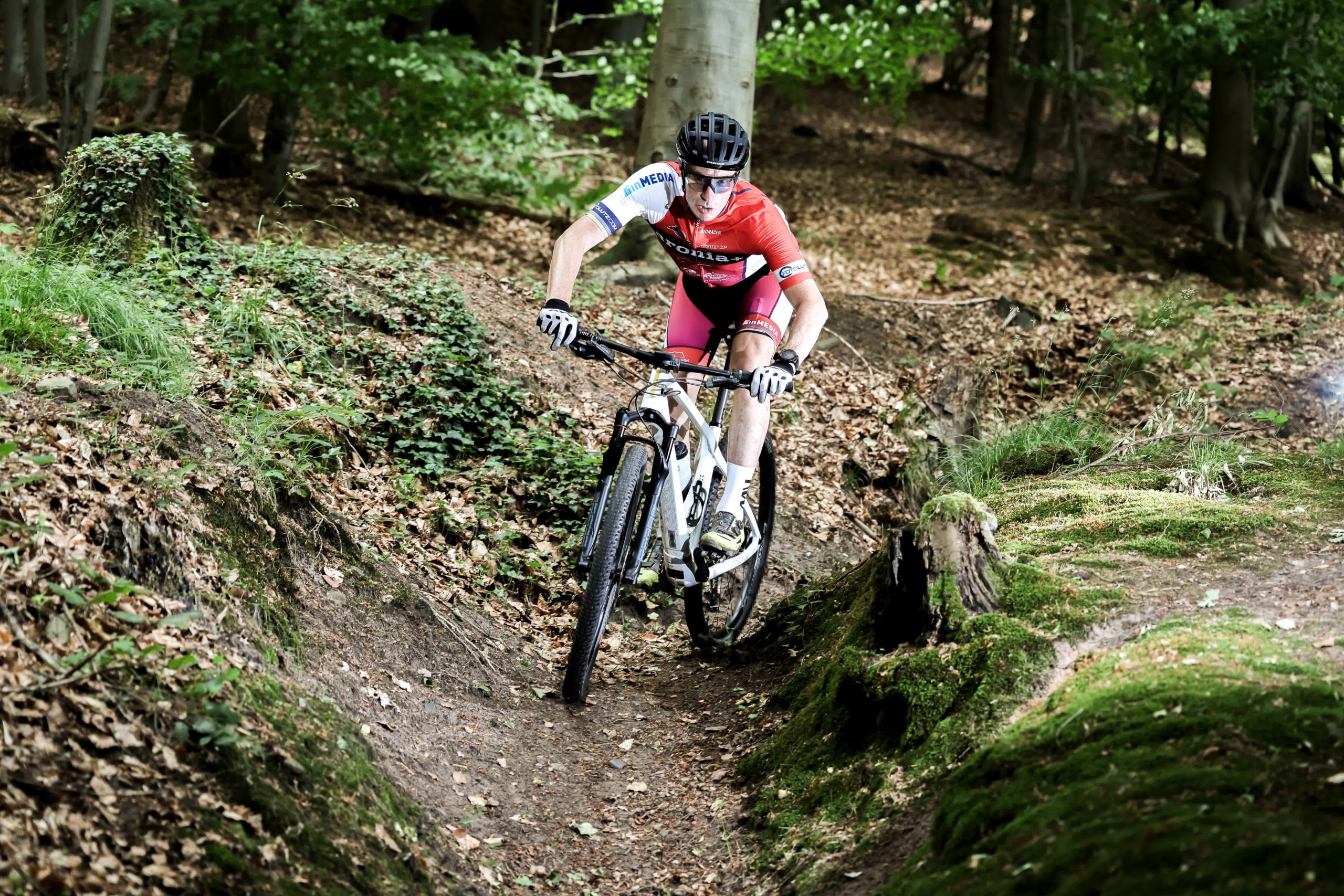 260531_Aronia_outdoor_Pur_0164_print (2)